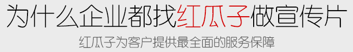 红瓜子MG动画制作公司