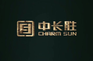 红瓜子文化传媒- 中长胜企业形象片_金融类企业宣传片丨企业宣传片案例