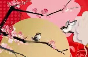 红瓜子传媒