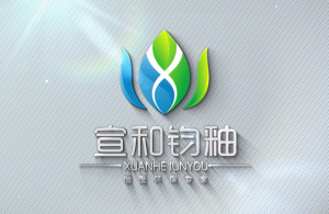 红瓜子文化传媒-宣和钧釉企业宣传片_材料类企业宣传片丨企业宣传片案例
