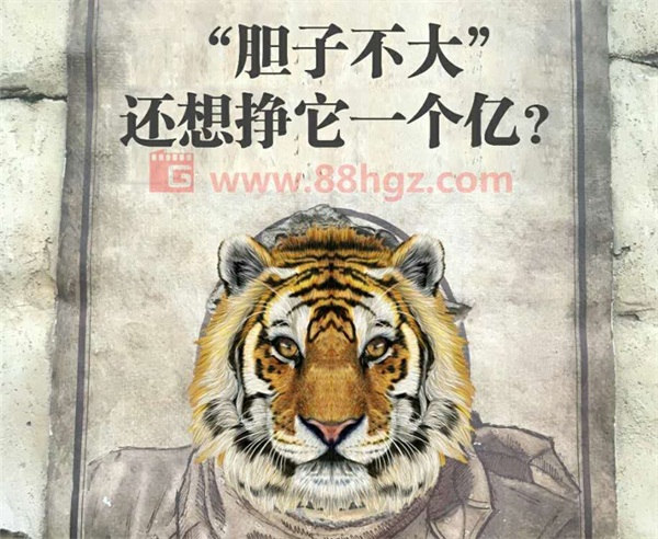 还能更高吗？与迪玛希共鸣的，是我们追随企业宣传片的信仰