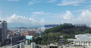 红瓜子传媒