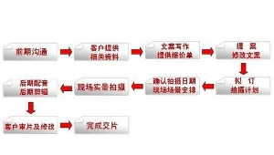红瓜子传媒