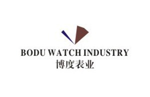 红瓜子文化传媒-博度表业企业宣传片_红瓜子传媒优秀企业宣传片制作