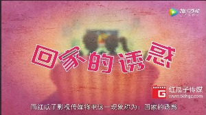 红瓜子传媒