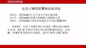 红瓜子传媒
