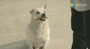 红瓜子传媒