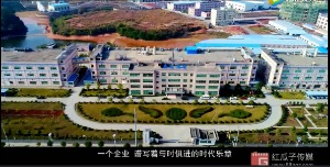 红瓜子传媒
