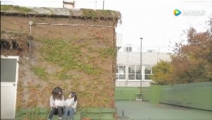 红瓜子传媒