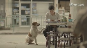 红瓜子传媒