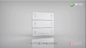 红瓜子传媒