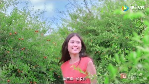 红瓜子传媒