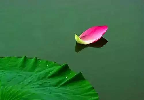 红瓜子传媒