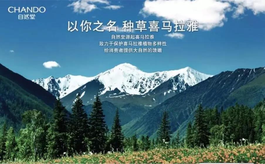 红瓜子传媒