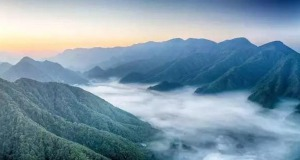 红瓜子传媒
