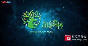 红瓜子文化传媒-奇镜森林企业动画宣传片