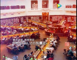 红瓜子传媒